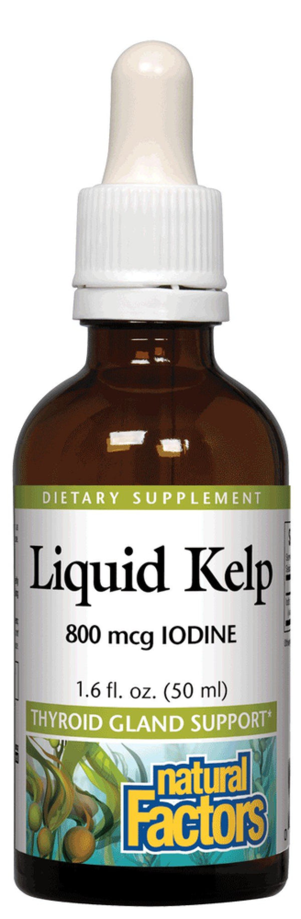 Natural Factors Liquid Kelp 800mcg Iodine 1.6 oz Liquid Healthy