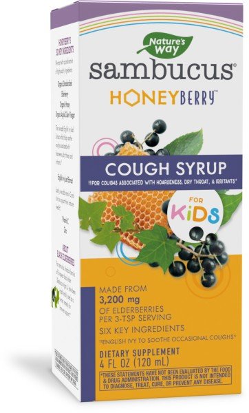 Nature&#39;s Way Sambucus Kids HoneyBerry Cough Syrup 4 fl oz Liquid