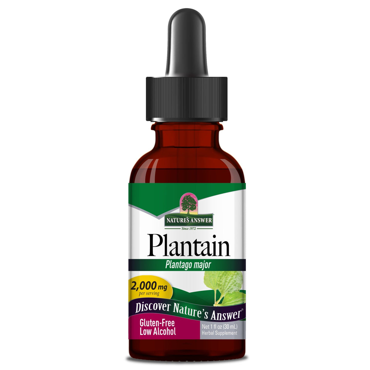 Nature's Answer Plantain Leaf Extract 1 oz Liquid