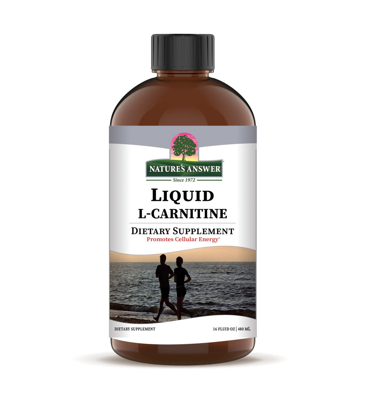 Nature's Answer Liquid L-Carnitine 16 oz Liquid