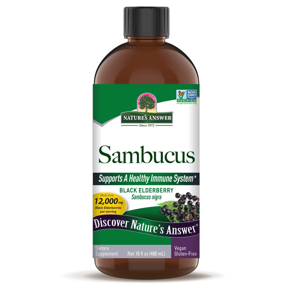 Nature's Answer Sambucus Black Elderberry 16 fl oz Liquid