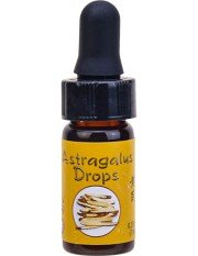 Dragon Herbs Astragalus Drops 0.25 fl. oz. (7.5 ml Liquid