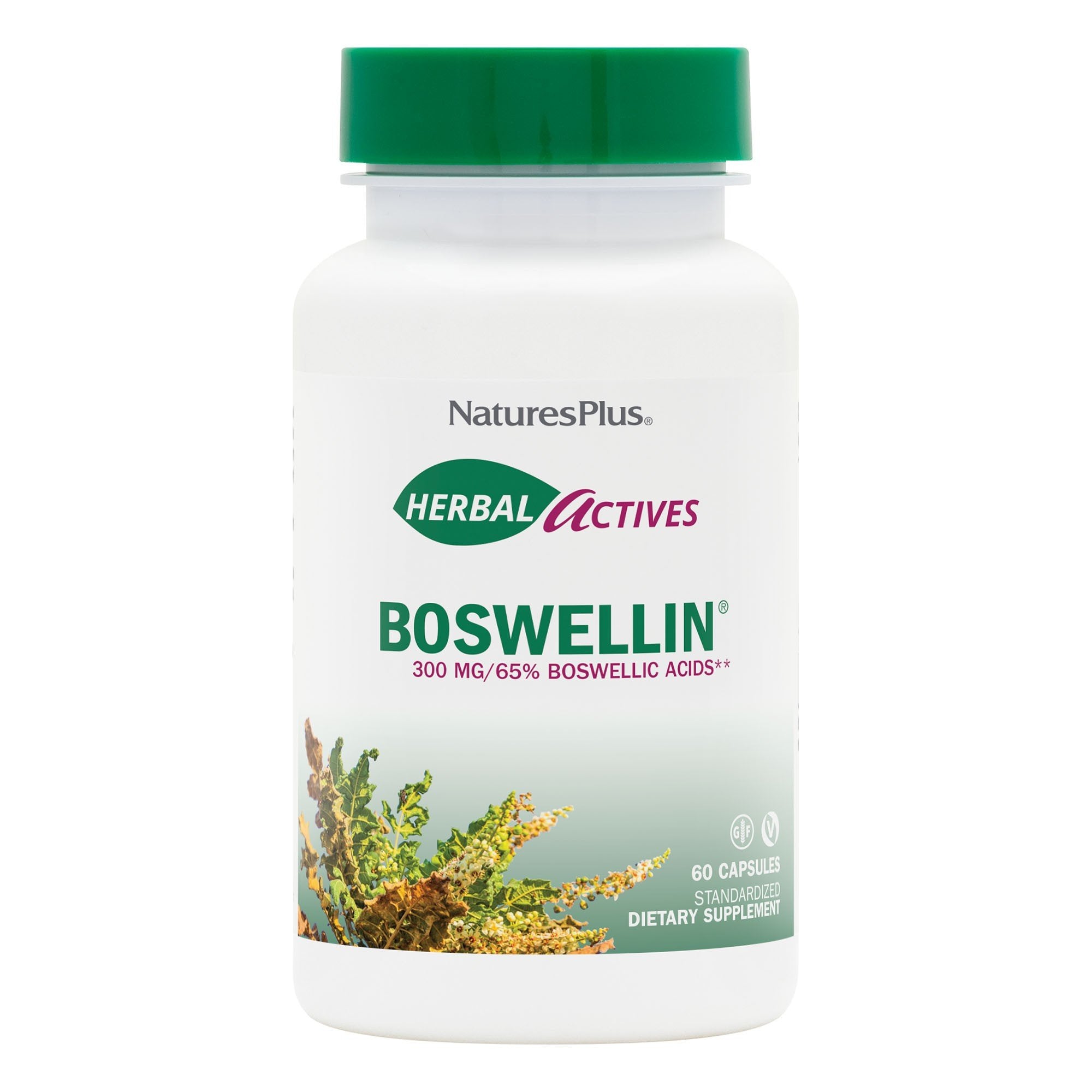 Nature's Plus Boswellin Extract 300mg 60 Capsule