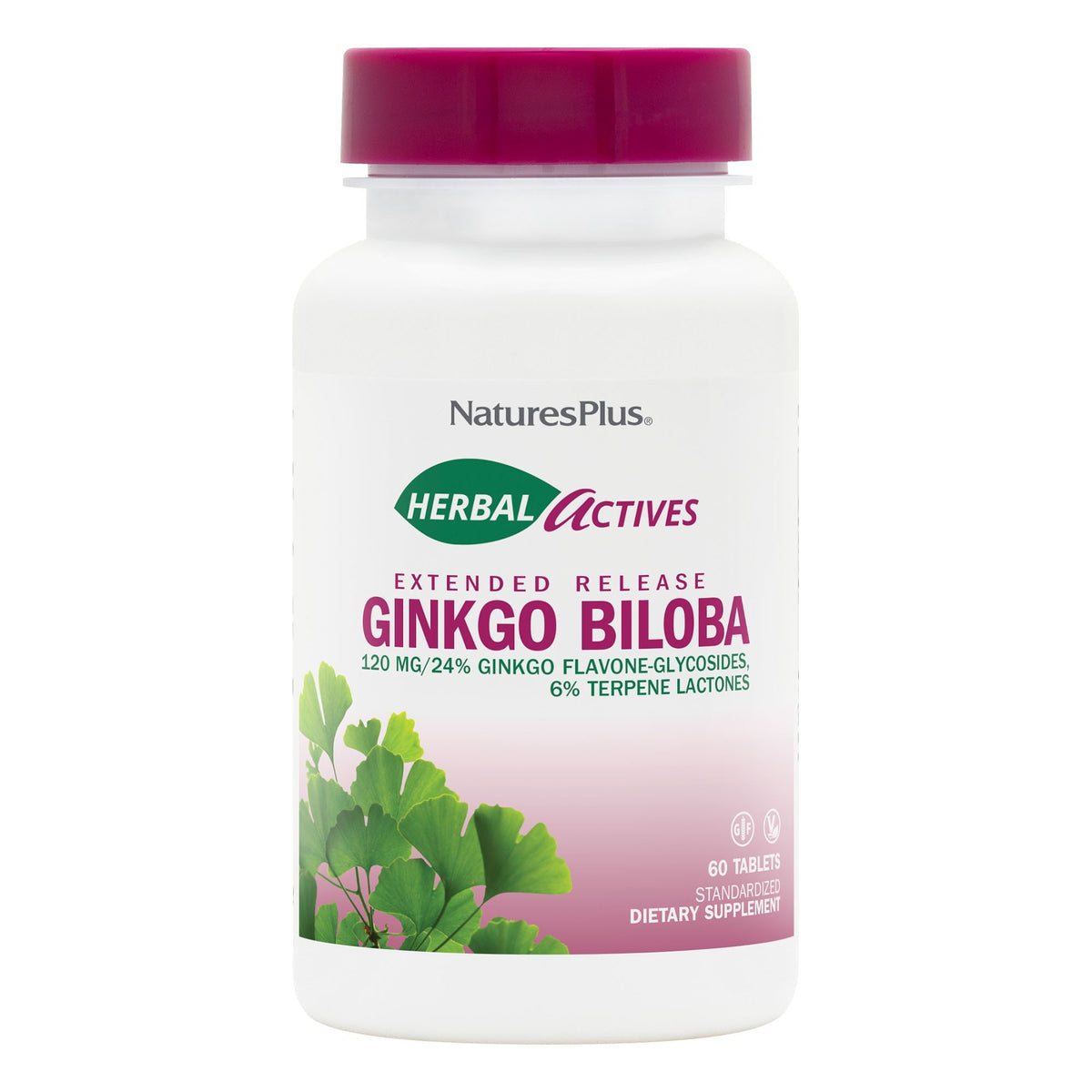 Nature&#39;s Plus Ginkgo Biloba Extract 120mg Time Release 60 Sustained Release Tablet