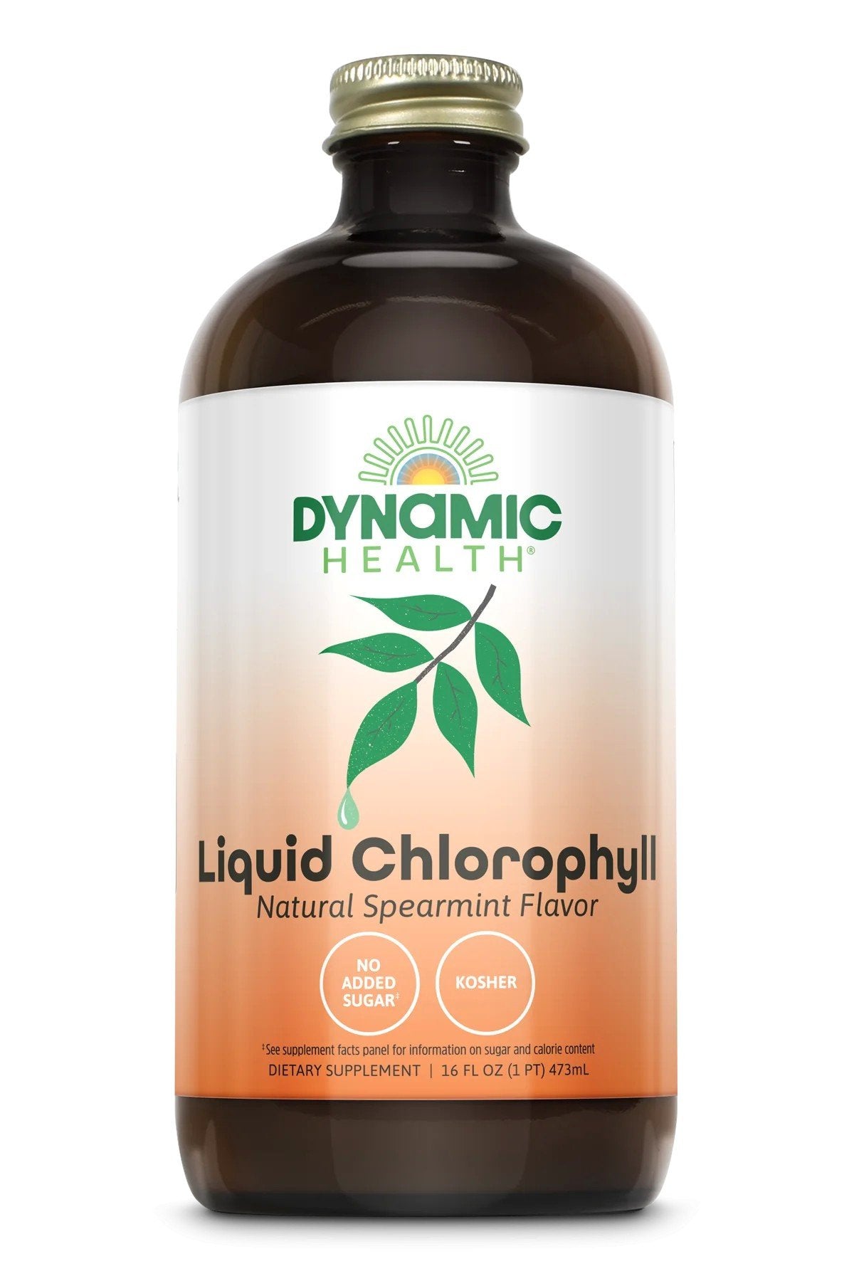 Dynamic Health Liquid Chlorophyll Spearmint 16 oz Glass Bottle