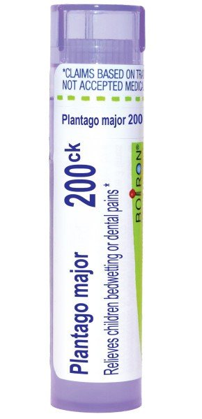 Boiron Plantago Major 200CK 80 Pellet