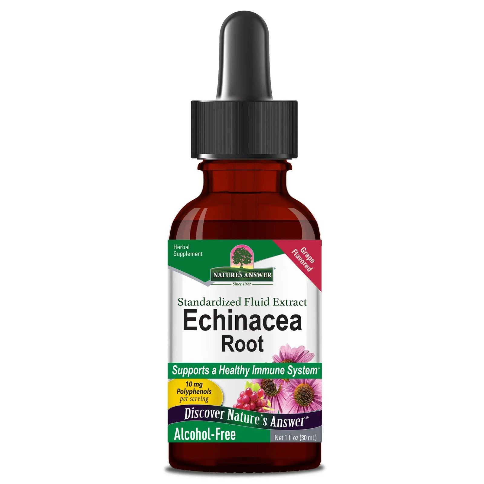 Nature's Answer Echinacea Extract No Alcohol - Grape Flavor 1 oz Liquid