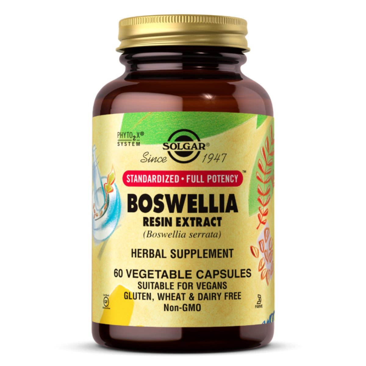 Solgar SFP Boswellia Resin Extract 60 VegCap