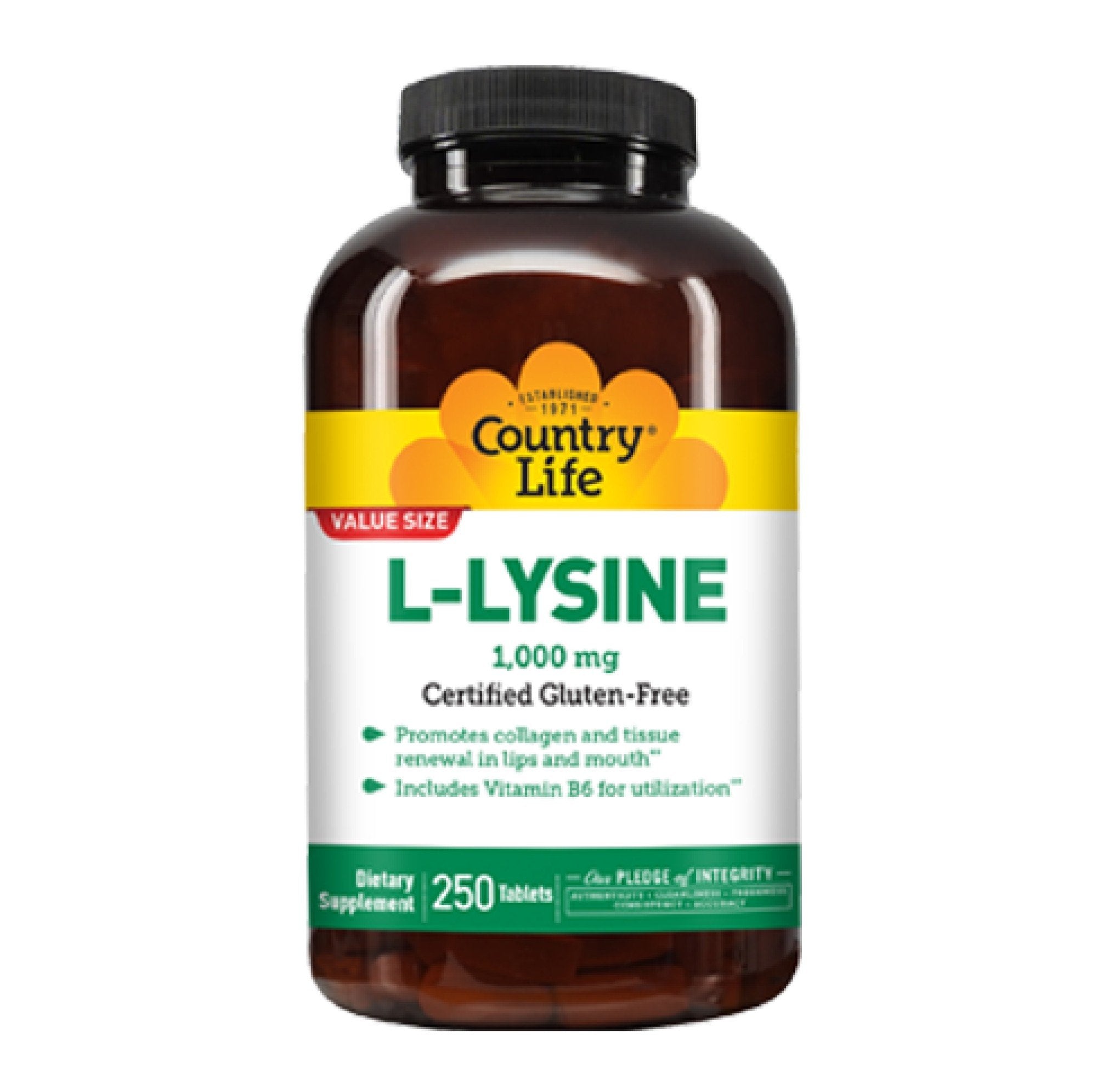 Country Life L-Lysine 1000mg With B6 250 Tablet