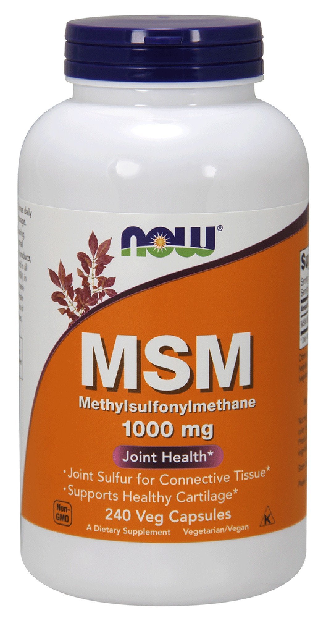 Now Foods MSM 1000mg 240 Capsule