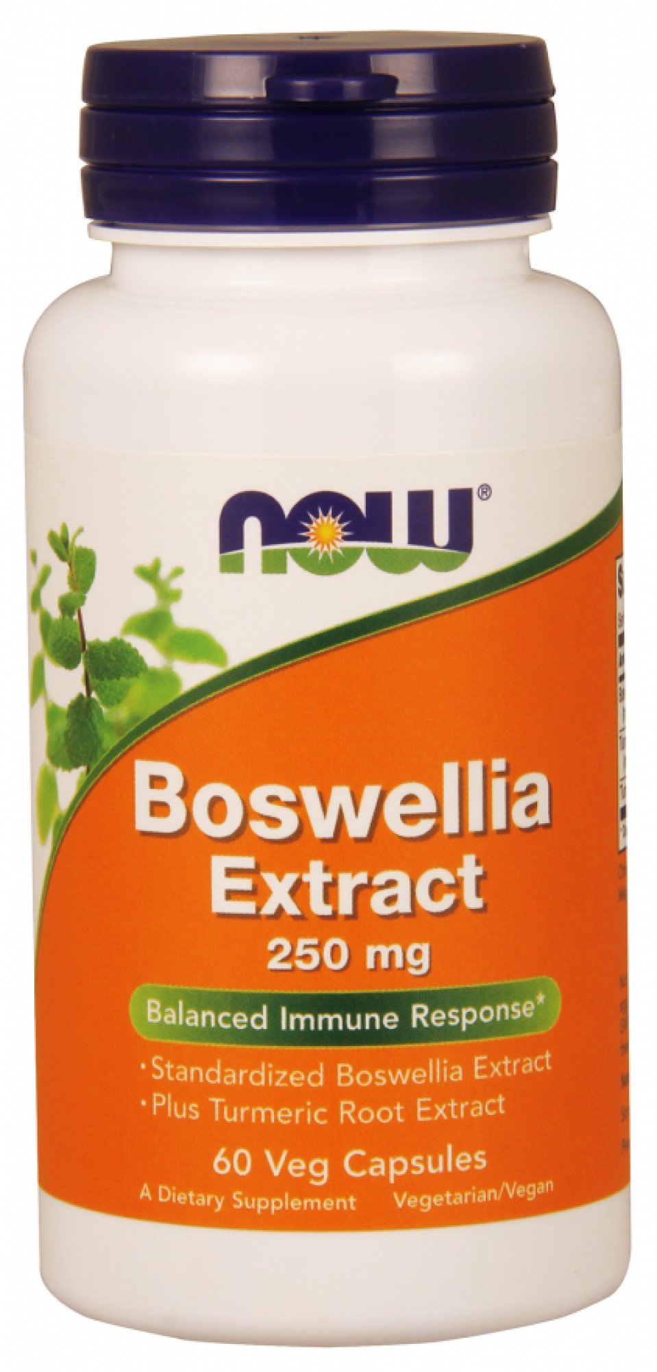 Now Foods Boswellin Extract 250 mg 120 Capsule