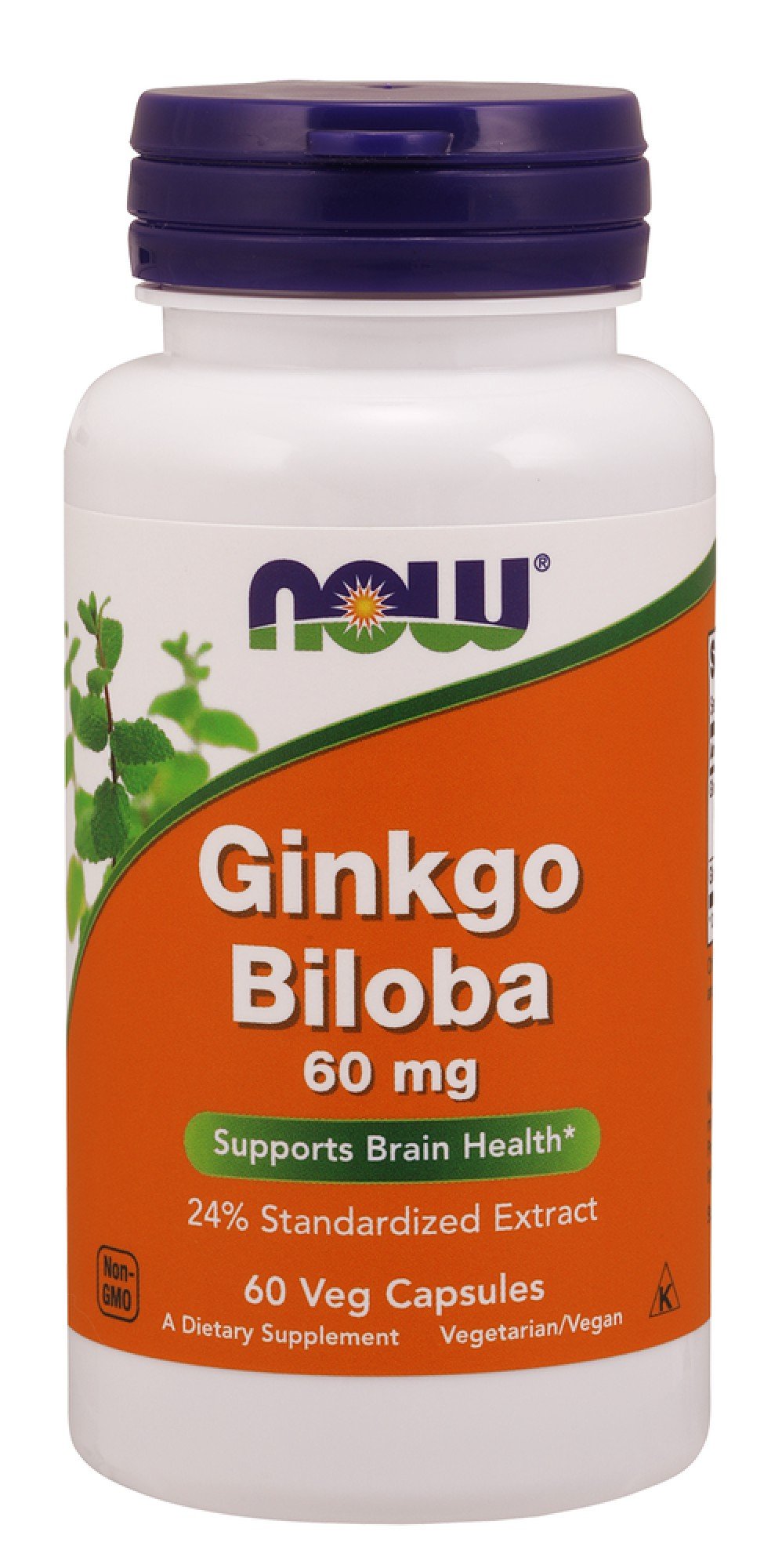 Now Foods Ginkgo Biloba 60mg 24 % Extract 60 Capsule