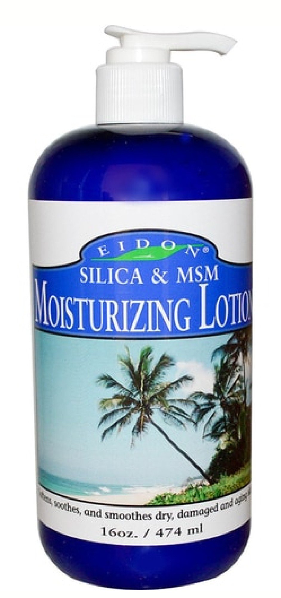 Eidon Silica &amp; MSM Moisturizing Lotion 16 oz Lotion