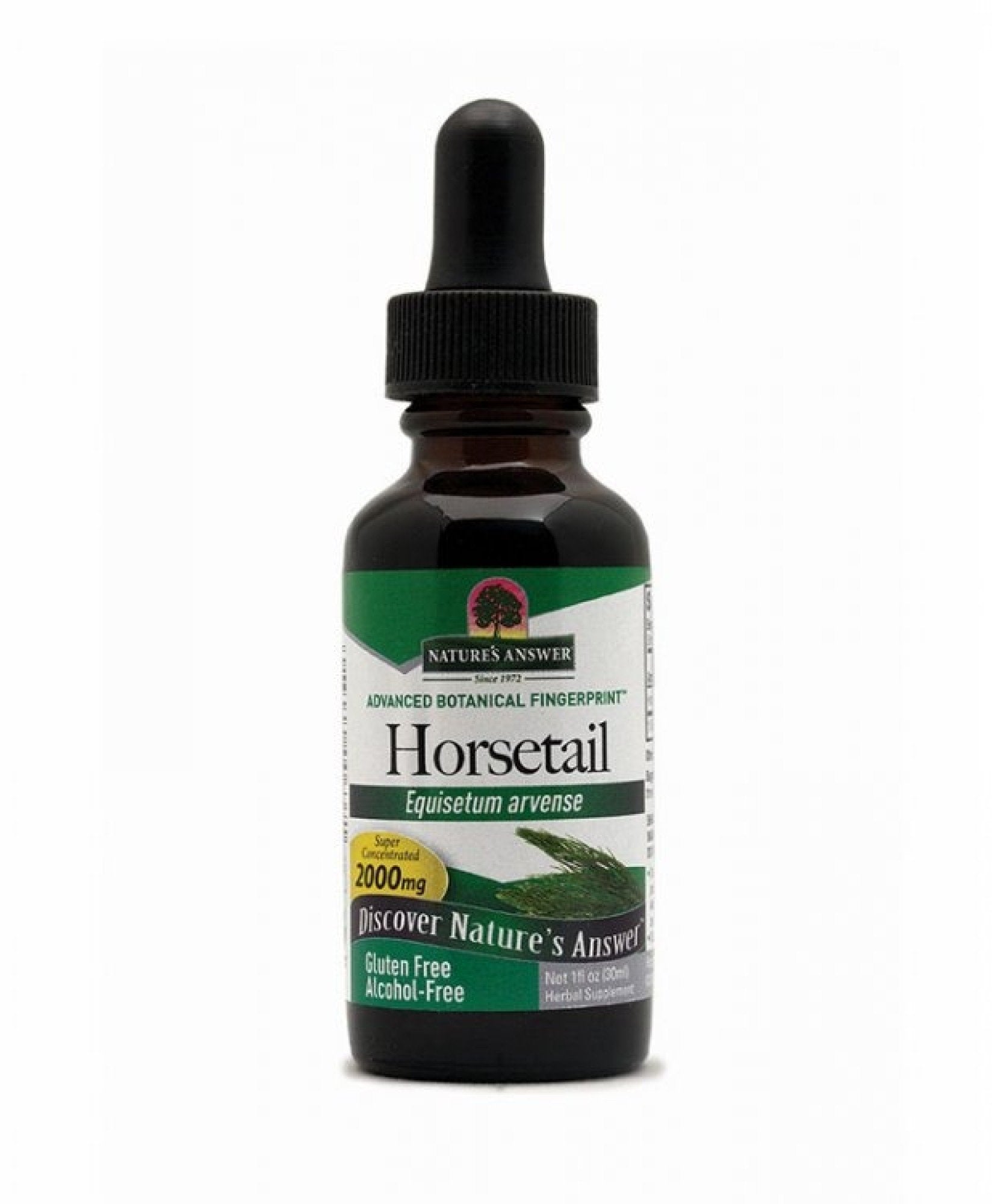 Nature's Answer Horsetail Extract No Alcohol 1 oz Liquid