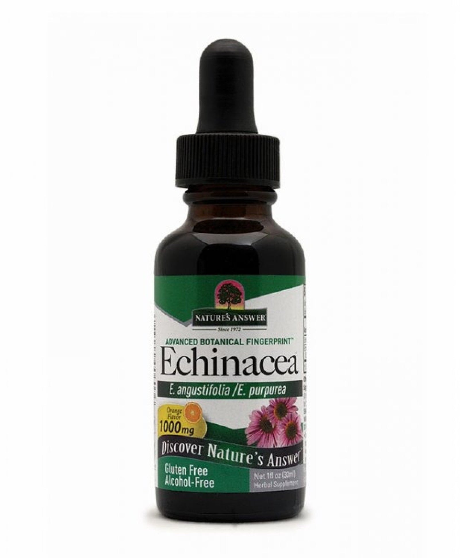 Nature's Answer Echinacea Extract No Alcohol - Organic Orange Flavor 1 oz Liquid