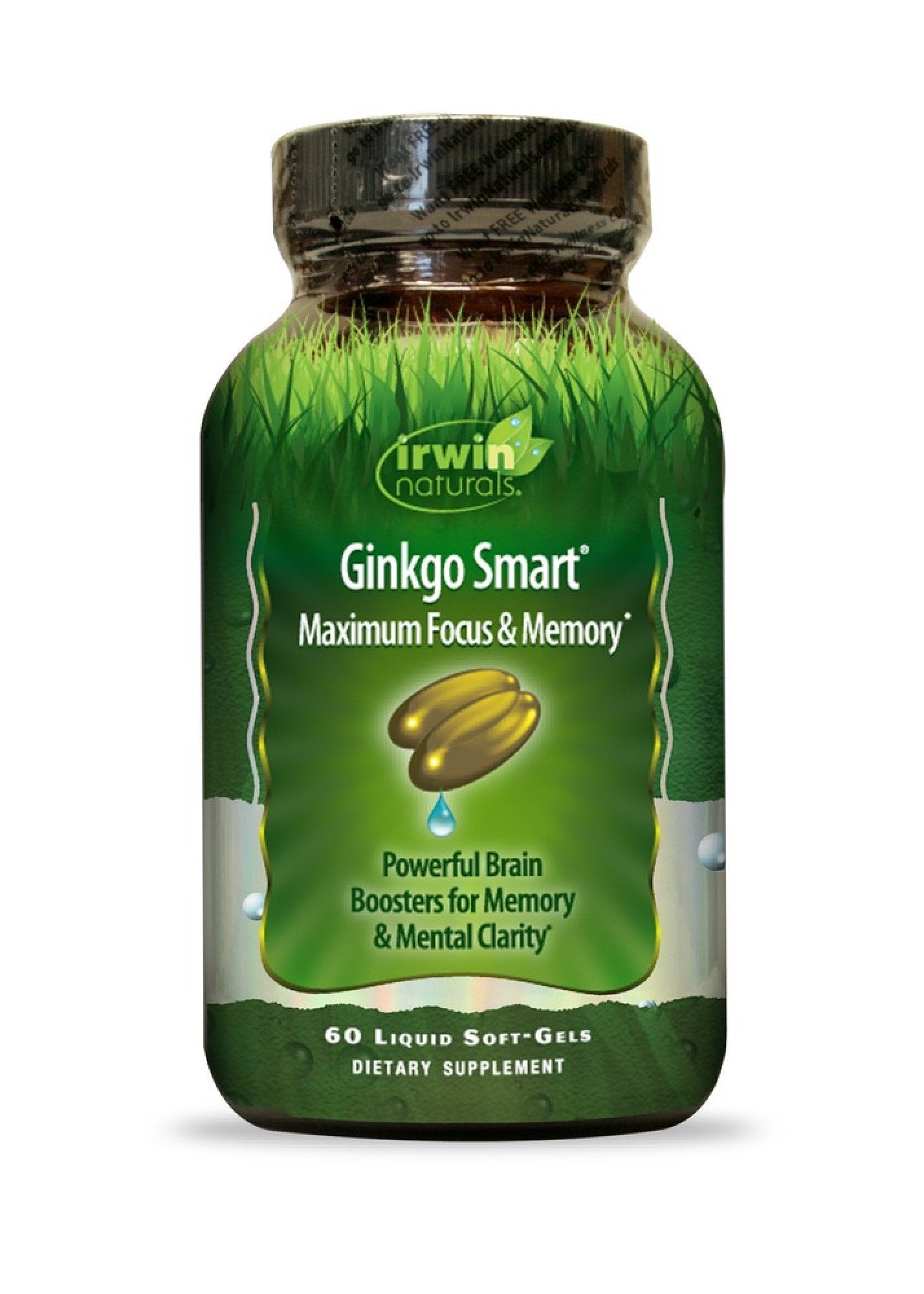 Irwin Naturals Ginkgo Smart 60 Softgel