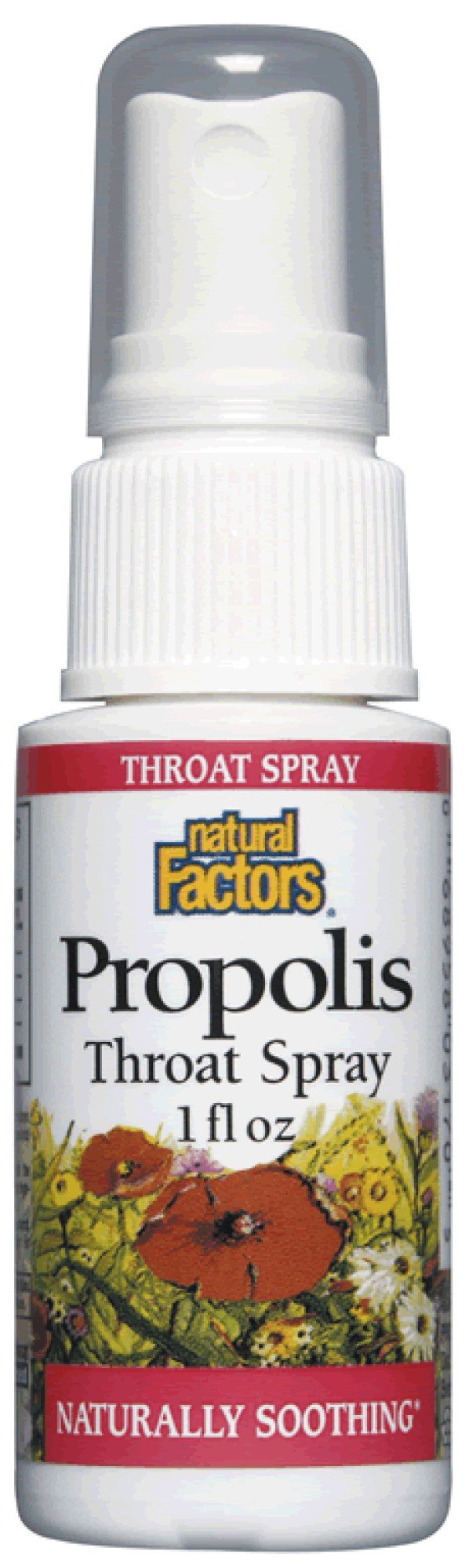 Natural Factors Propolis Throat Spray 1 oz Spray