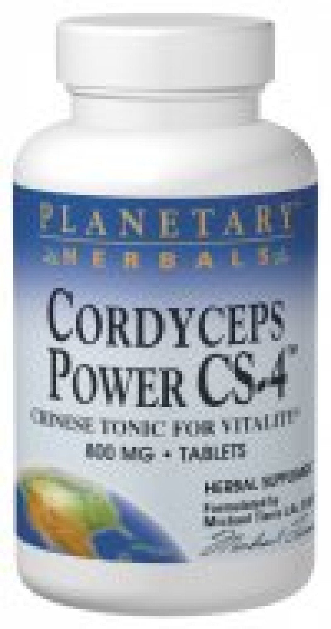 Planetary Herbals Cordyceps Power 60 Tablet