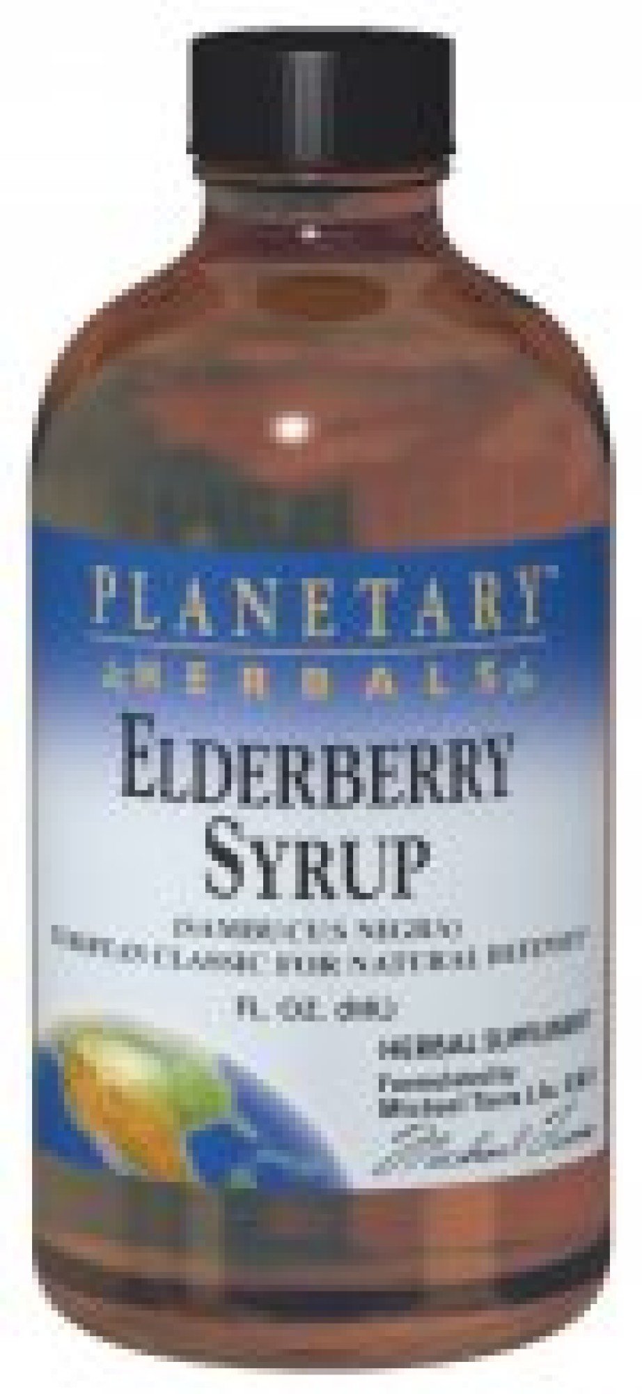 Planetary Herbals Elderberry Syrup 2 oz Liquid