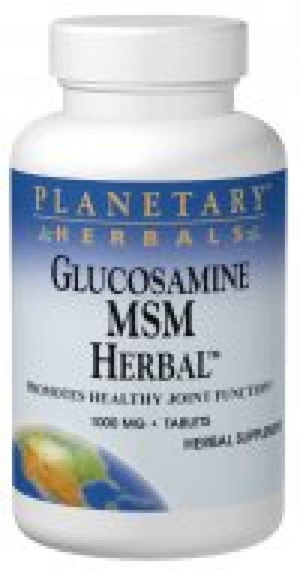 Planetary Herbals Glucosamine MSM Herbal 90 Tablet