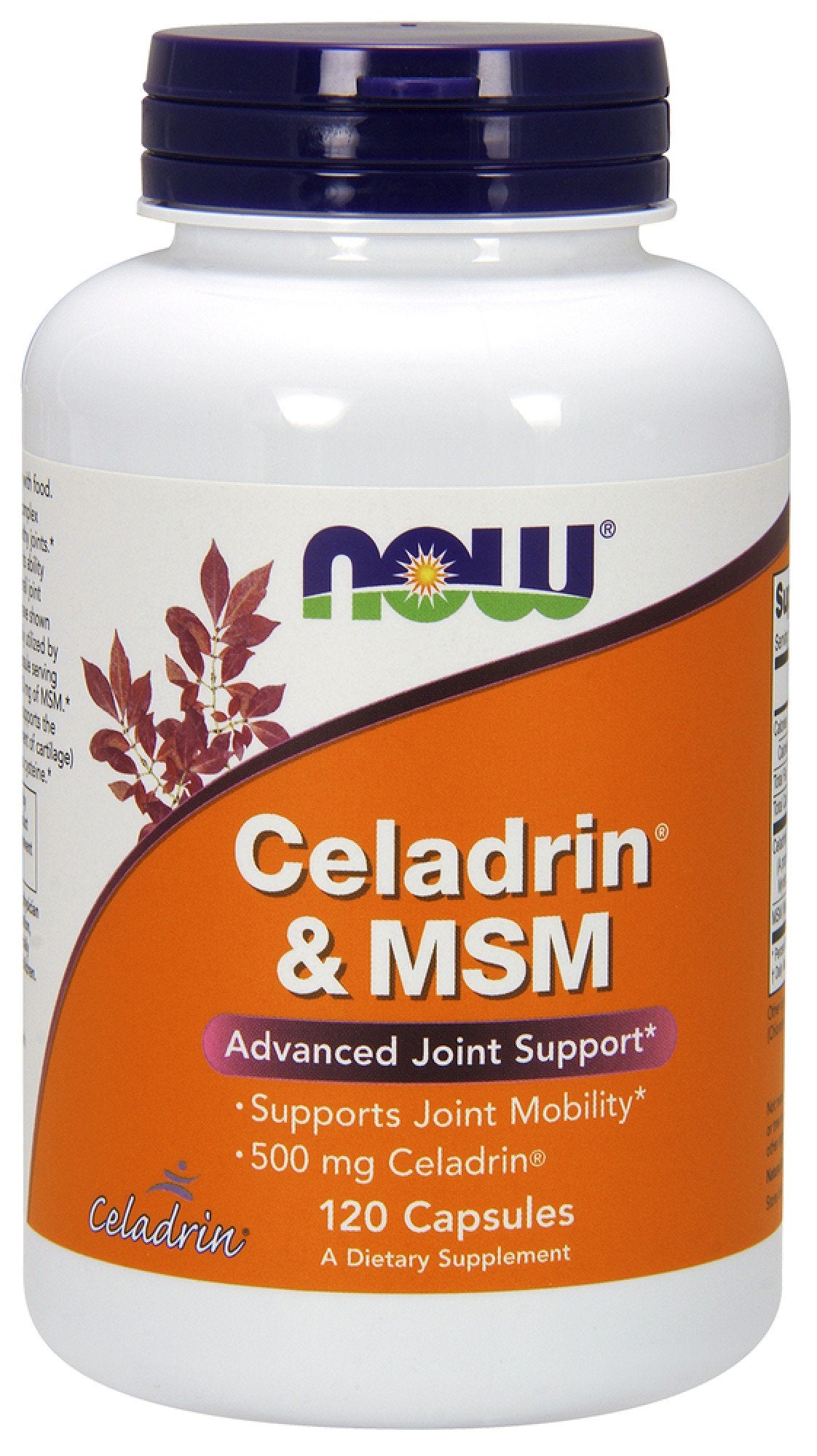 Now Foods Celadrin & MSM 500 mg 120 Capsule