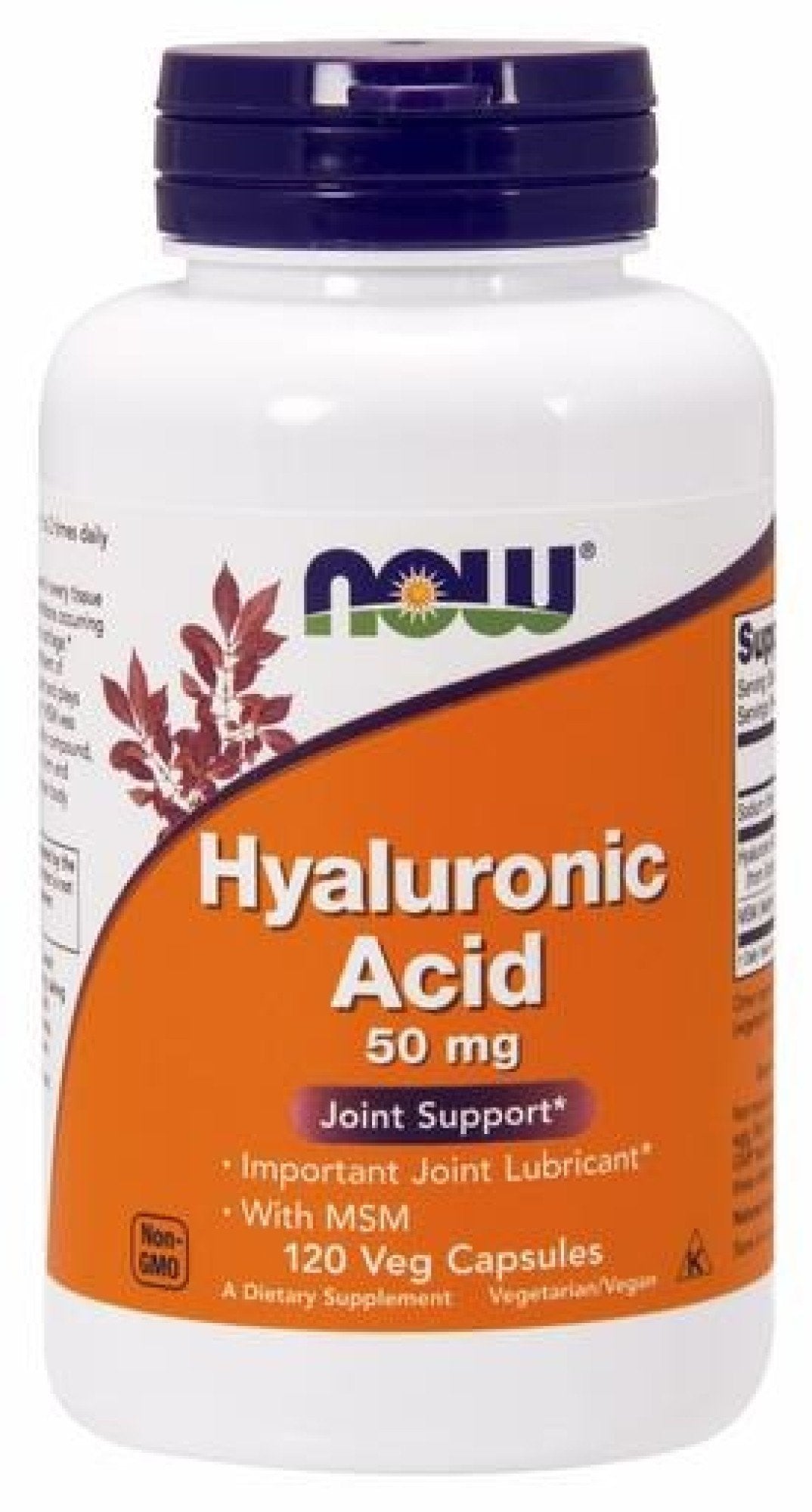 Now Foods Hyaluronic Acid with Lignisul MSM 120 VegCap