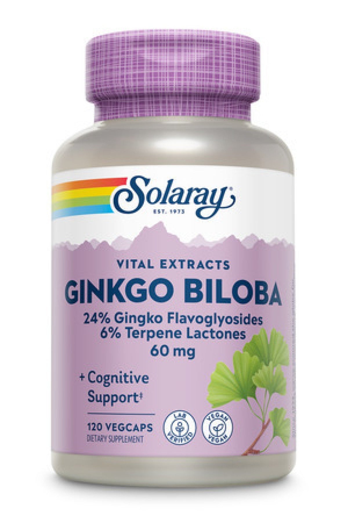 Solaray Ginkgo Biloba Extract 60mg 120 VegCap