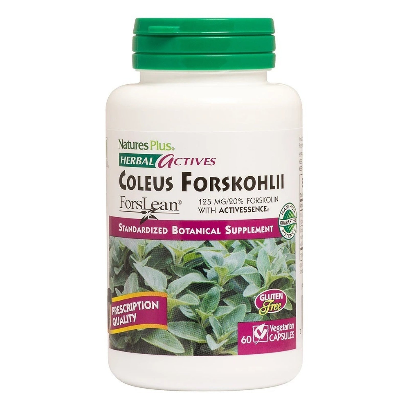 Nature's Plus Herbal Actives Coleus Forskohilli Forslean 60 Capsule