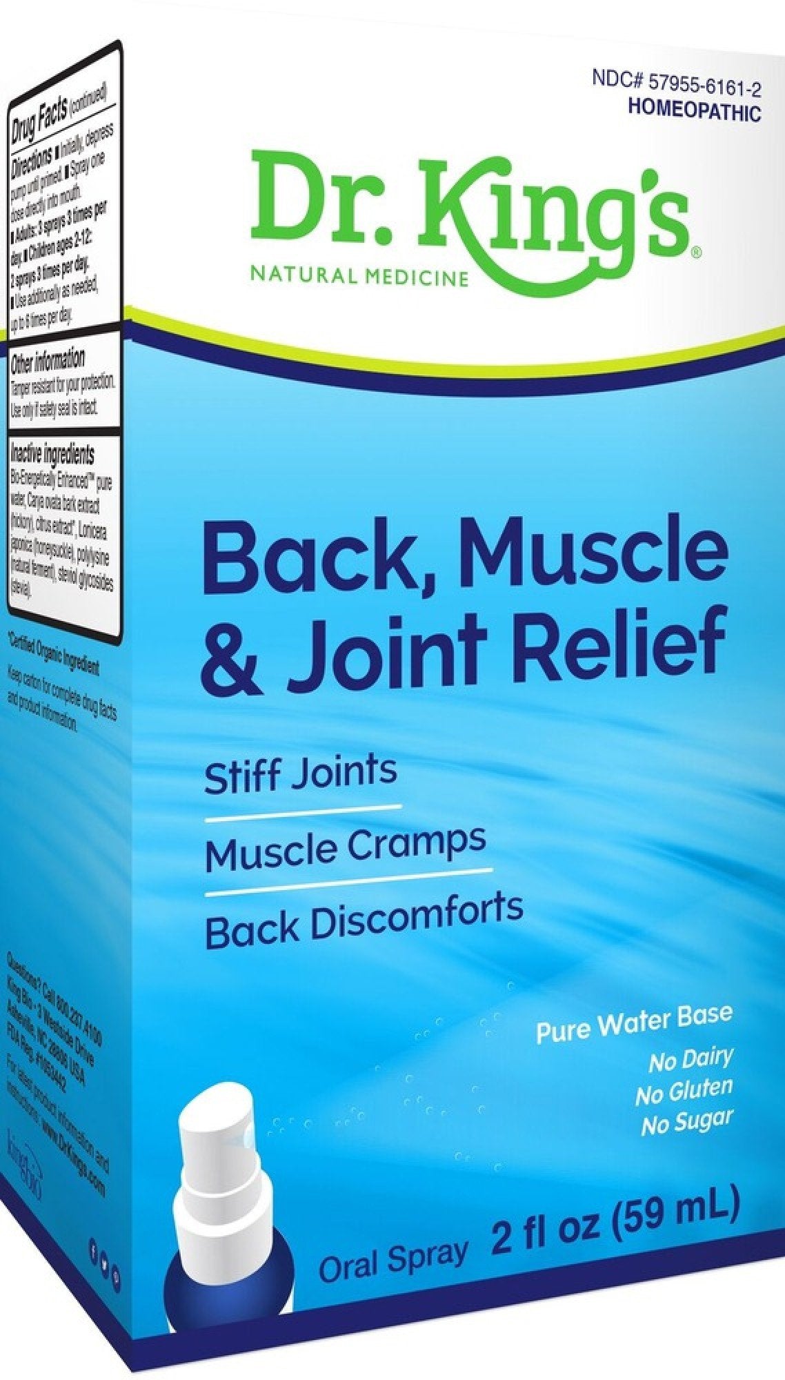 Dr King Natural Medicine Back, Muscle & Joint Relief 2 oz Liquid