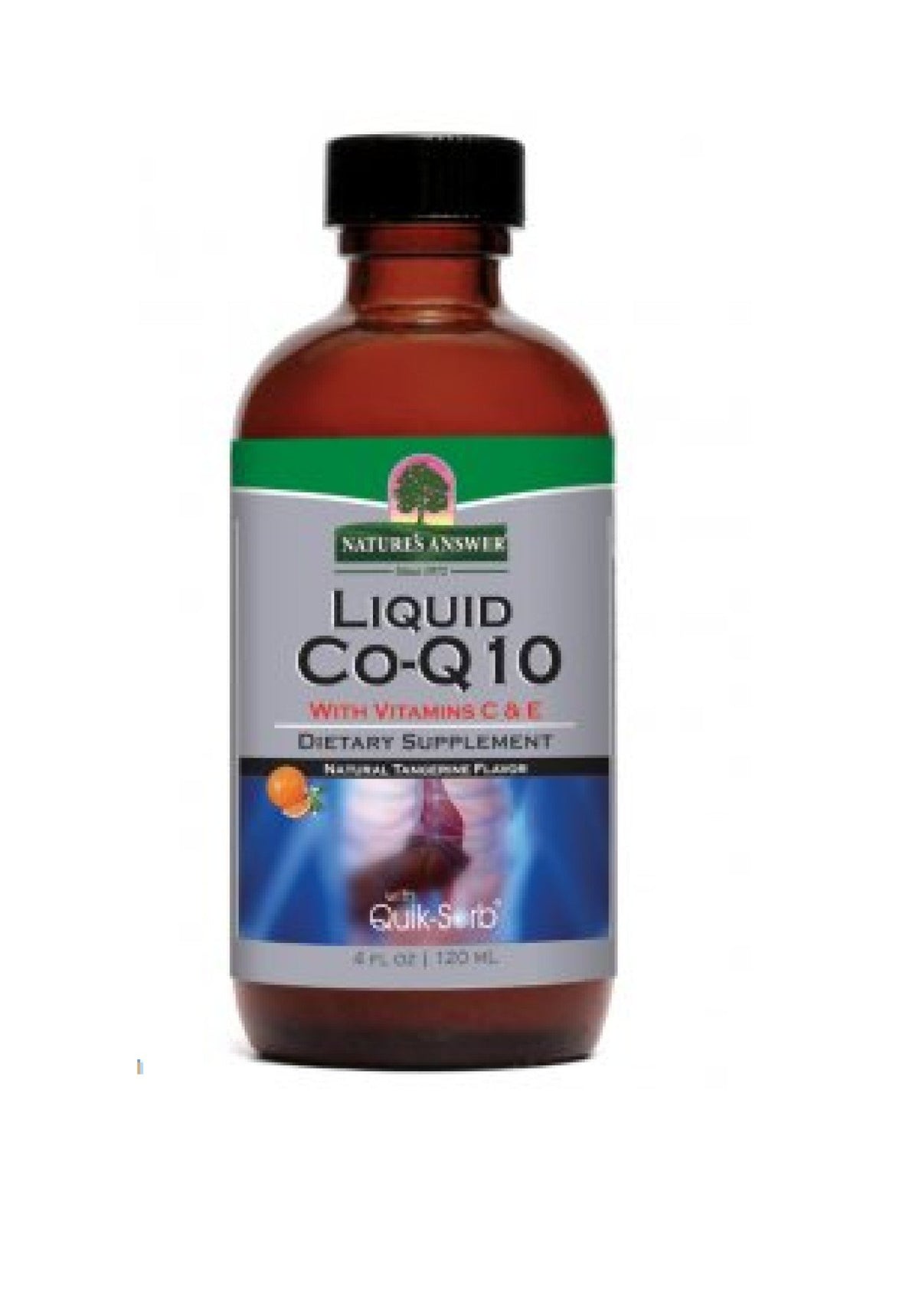 Nature's Answer Platinum Liquid Co-Q10 4 oz Liquid