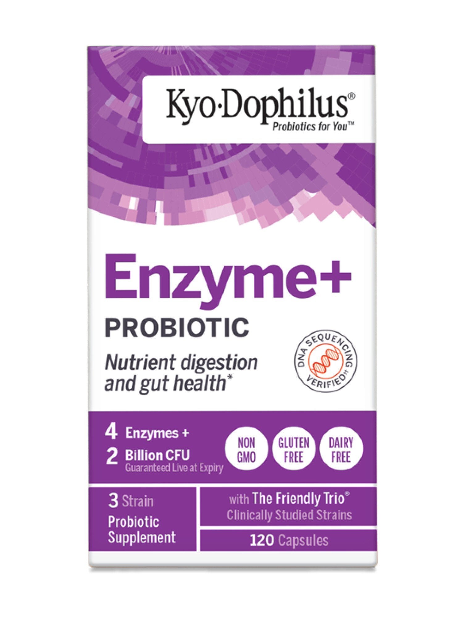 Kyolic Kyo-Dophilus Enzymes + Probiotic 120 Capsule