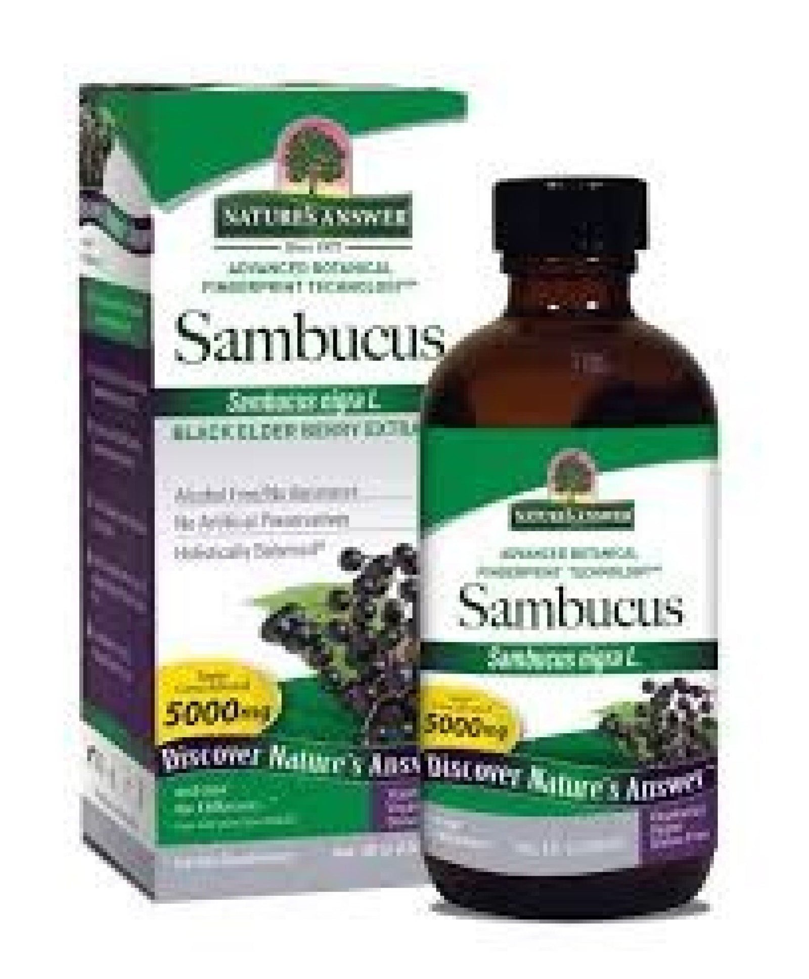 Nature's Answer Sambucus Original-Black Elder Berry Extract 4 oz Liquid