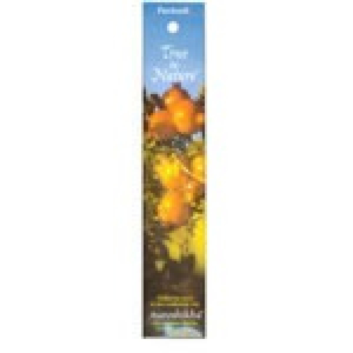 Auroshikha Candles &amp; Incense Incense Singapore Patchouli 10 gram Incense