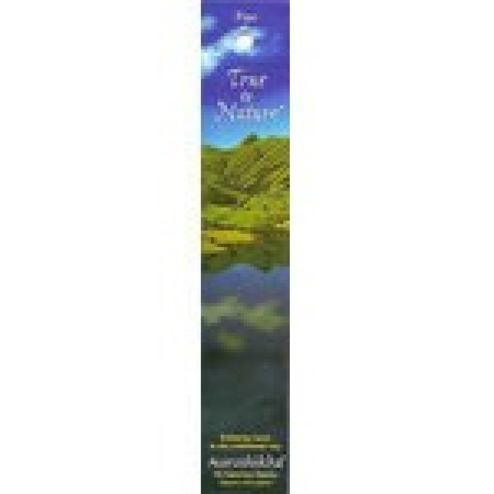 Auroshikha Candles & Incense Incense Pine 10 gram Incense