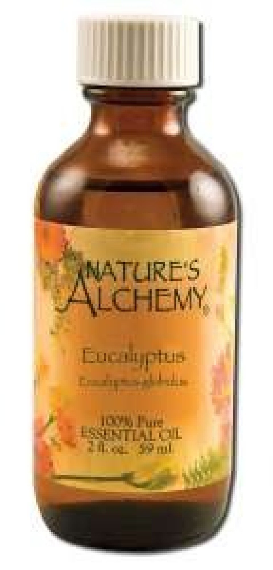 Nature&#39;s Alchemy Pure Essential Oil Eucalyptus 2 oz Oil