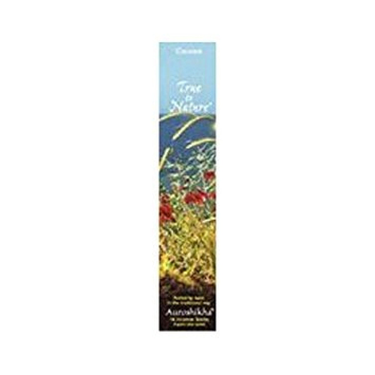 Auroshikha Candles &amp; Incense Incense Coconut 10 gram Incense