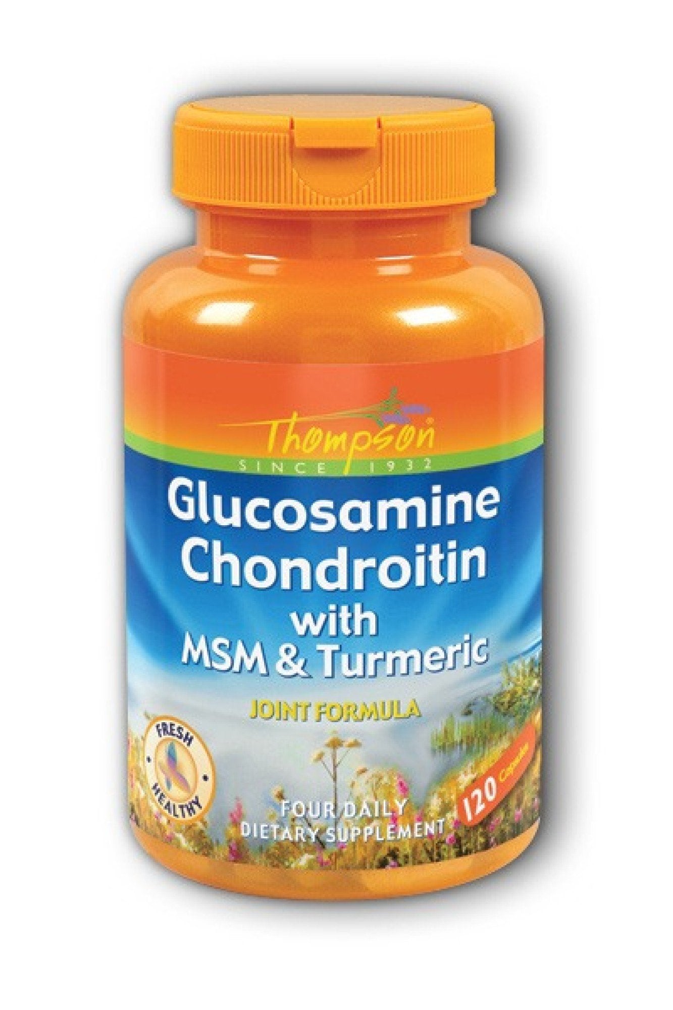 Thompson Nutritional Glucosamine & Condroitin with MSM & Turmeric 120 Capsule