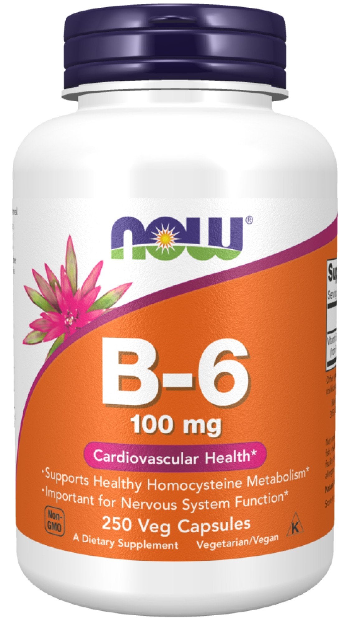 Now Foods B-6 100mg 100 Capsule