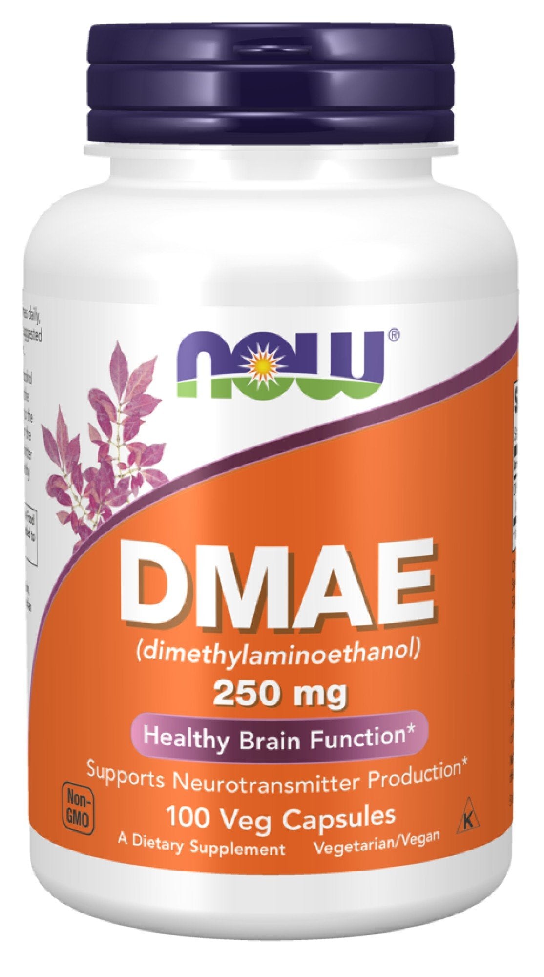 Now Foods DMAE 250mg 100 VegCap