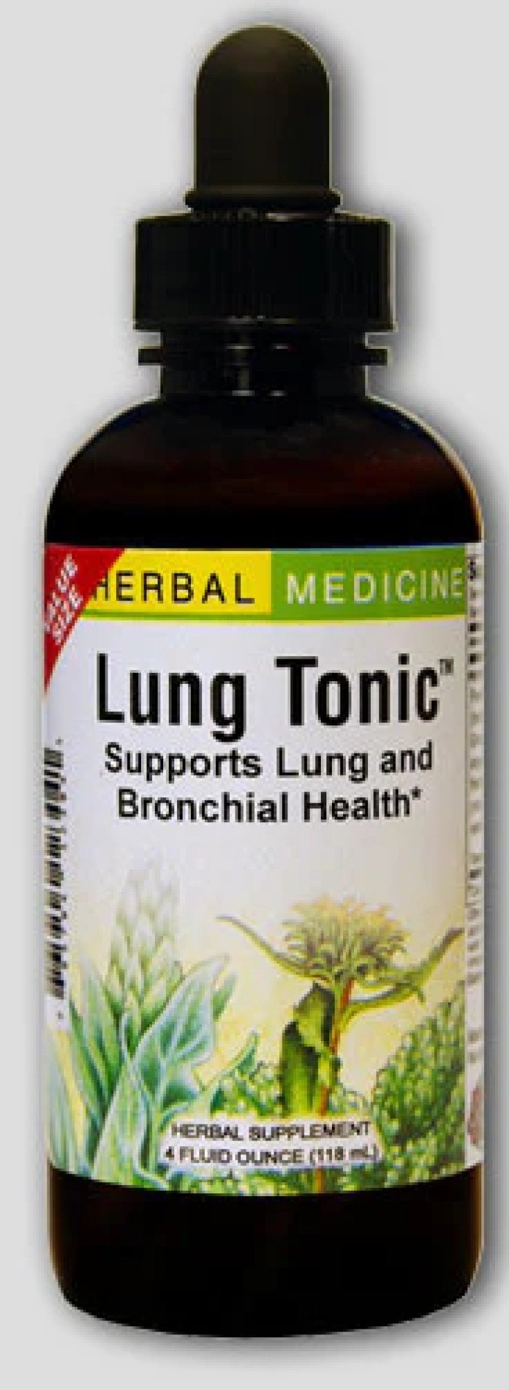 Herbs Etc Lung Tonic 4 oz Liquid