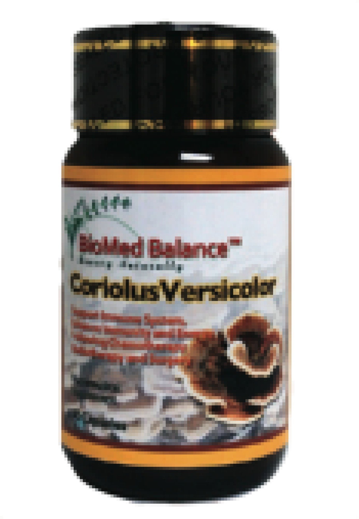 BioMed Balance Coriolus Versicolor 500 mg 90 Capsule