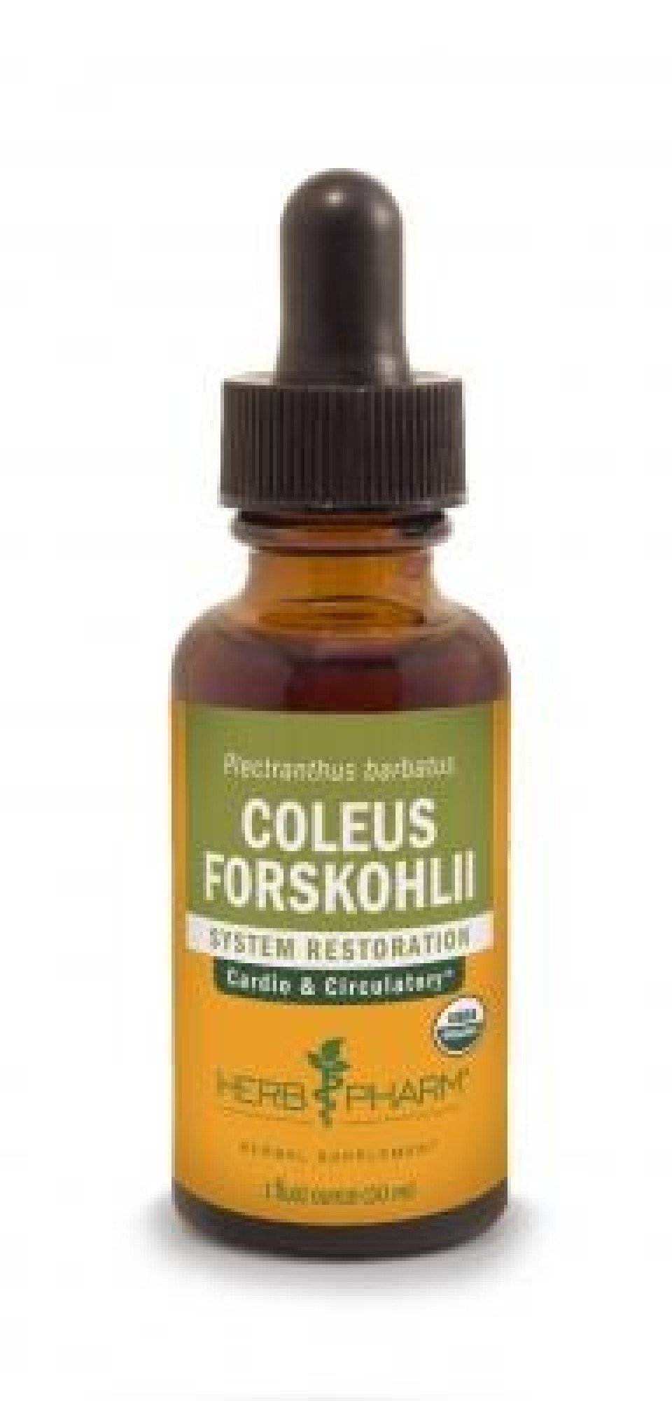 Herb Pharm Coleus Forskohlii 1 oz Liquid