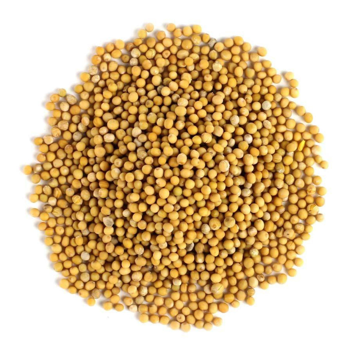 Frontier Natural Products Mustard Seed, Yellow Whole Organic 1 lb Bulk