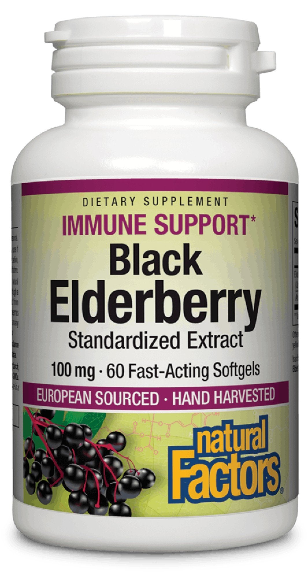 Natural Factors Black Elderberry Standardized Extract 100 mg 60 Softgel